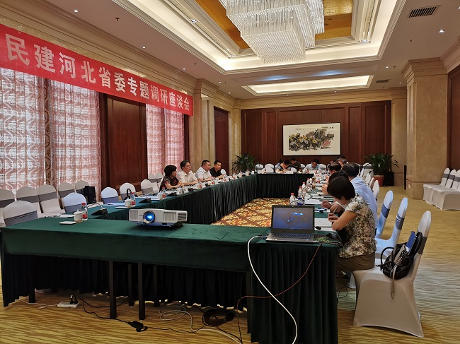 渤海新区座谈会 (1)-1.jpg