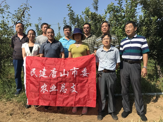 民建唐山农业总支开展果树栽培技术指导服务1-1.jpg