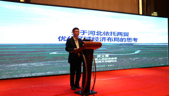 武义青出席2019京津冀协同发展参事研讨会 (1).jpg