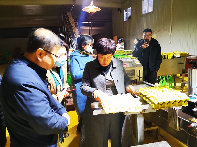 民建秦皇岛市直企业二支部赴会员企业秦皇岛市善源养殖有限公司走访调研(1)-1.jpg