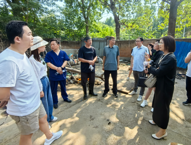 20240709民建保定市委东风支部、中关村支部、新阶层一支部围绕保定流浪动物的现状联合开展专题调研2 (2).jpg