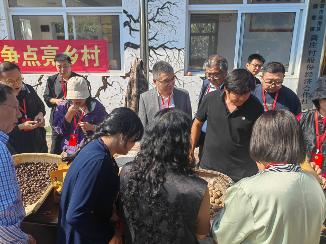 民建会员参加海港区政协组织的助力乡村振兴新场景调研活动 (2).jpg