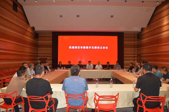 20250627民建保定市委召開鑫豐支部成立會議1 (2).jpg