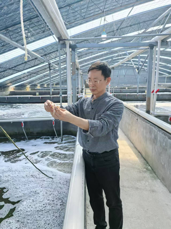 高端访谈丨专访把盐碱地变成“海鲜池”的科技专家——李春岭0605养殖场指导设施化养虾 (2).jpg