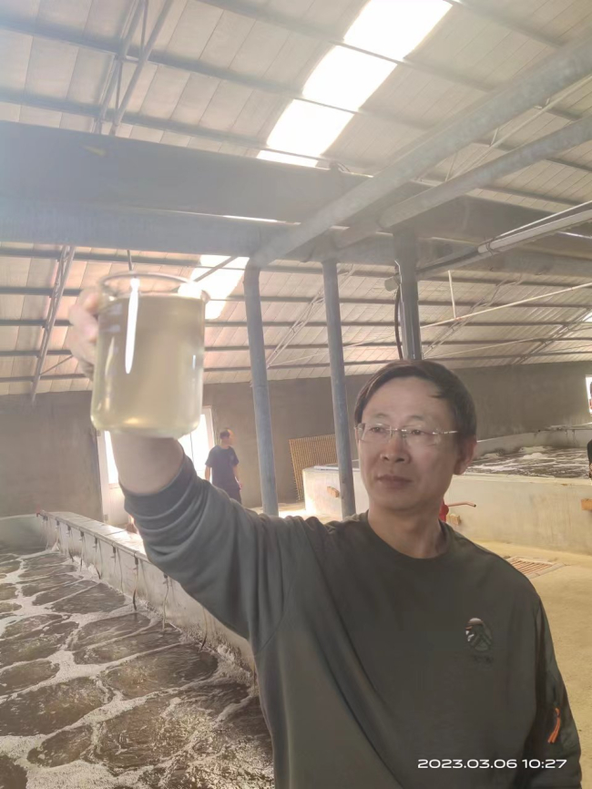 高端访谈丨专访把盐碱地变成“海鲜池”的科技专家——李春岭0605实地改造盐碱水 (2).jpg