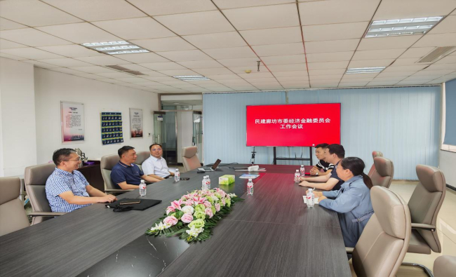 民建廊坊市委经济金融委员会召开2025年工作会议 (2).jpg