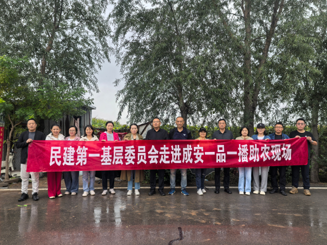 民建邯郸市直第一基层委员会就“一品一播”助力乡村振兴赴成安县调研2 (2).jpg
